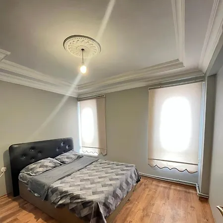 Fortuna House 公寓 安卡拉