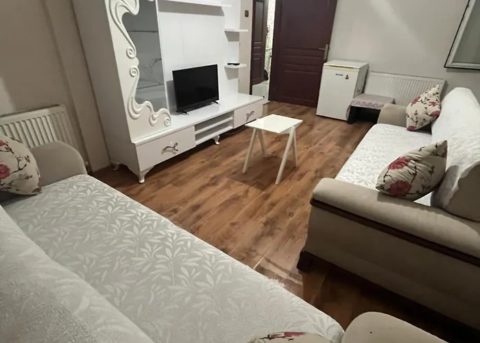 Fortuna House 公寓 安卡拉